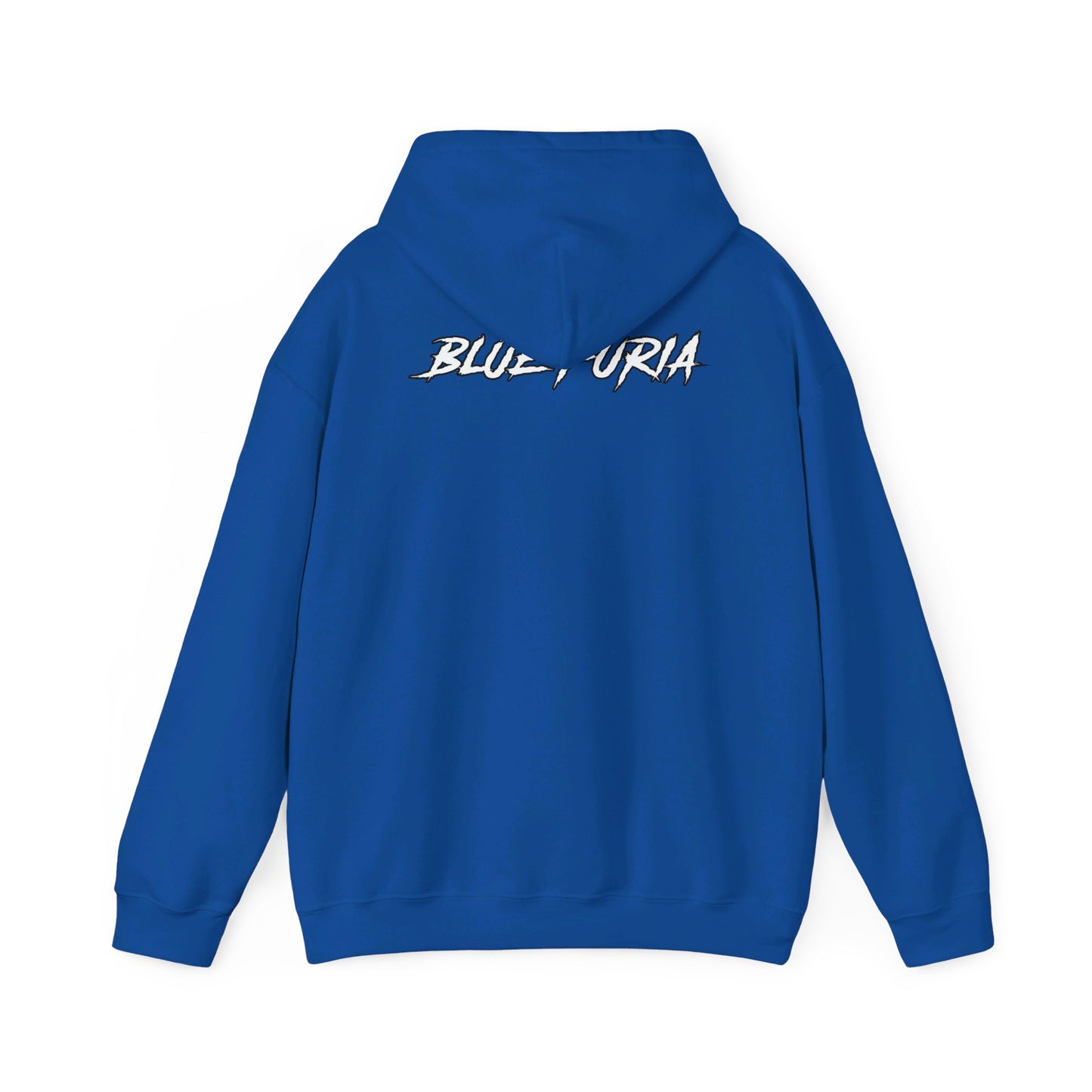 2023 Blue Furia Unisex Heavy Blend™ Hooded Sweatshirt